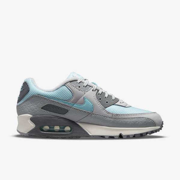 Men's Nike Air Max 90 Sneakers Grey / Platinum | NK375EPL