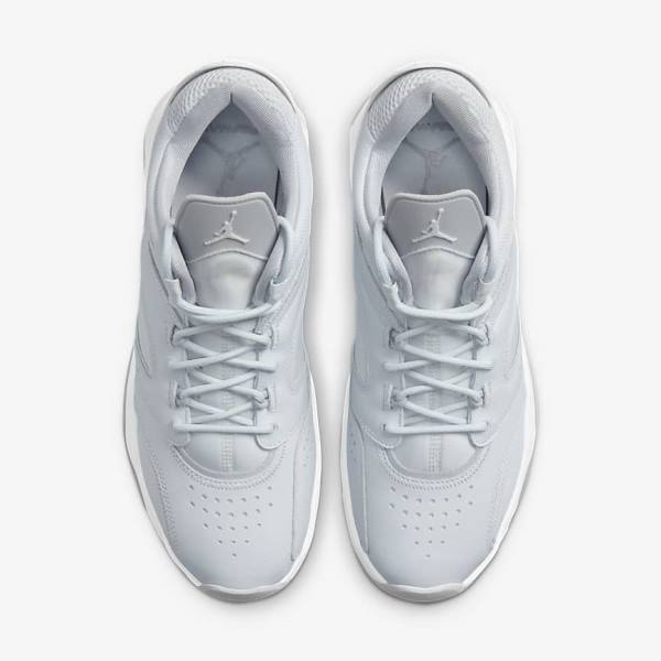 Men's Nike Jordan Point Lane Sneakers Platinum / White / Grey | NK960UEQ