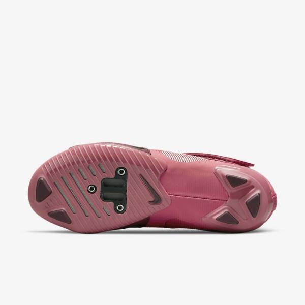 Women's Nike SuperRep Cycle Indoor Cycling Training Shoes Pink / Metal / Light Pink | NK809FKY