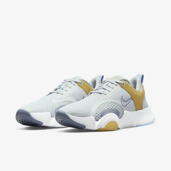 Women's Nike SuperRep Go 2 Training Shoes Platinum / Metal Gold / White | NK275EMD